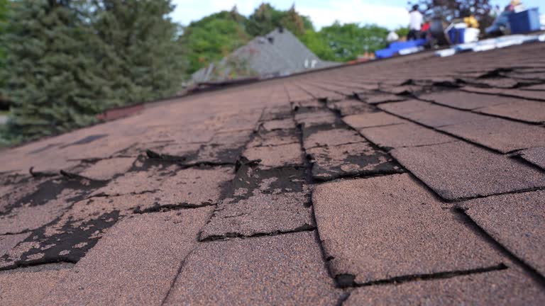 Best Rubber Roofing (EPDM, TPO)  in Gulf Shores, AL