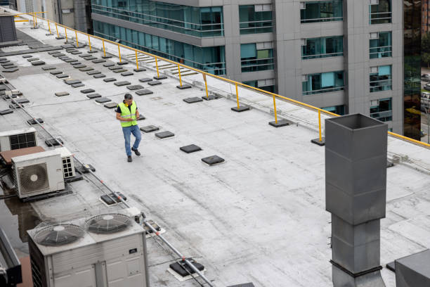 Best Roof Insulation Installation  in Gulf Shores, AL