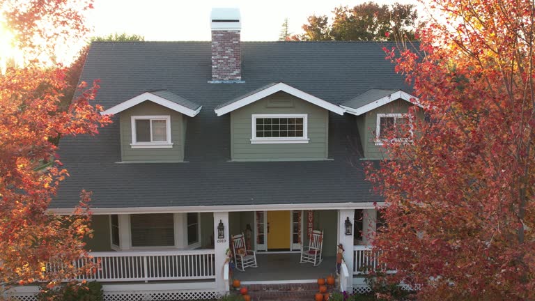 Best Roof Moss and Algae Removal  in Gulf Shores, AL