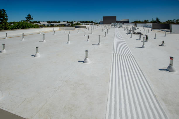 Fast & Reliable Emergency Roof Repairs in Gulf Shores, AL